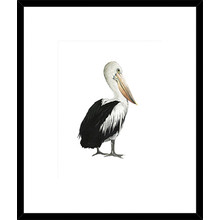 Sea Bird IV Framed Print