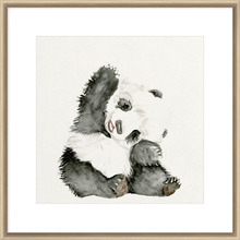 Baby Panda I Framed Print