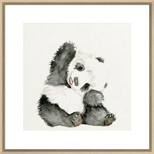 Baby Panda I Framed Print