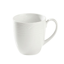 Arctic Mug in White (Set of 4)