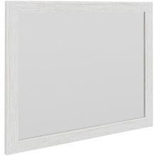 Florida Mirror