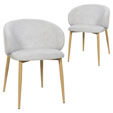 Raith Chenille Dining Chairs (Set of 2)