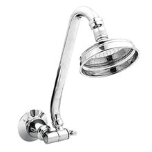 Noosa Multi Directional Gooseneck Shower & Arm