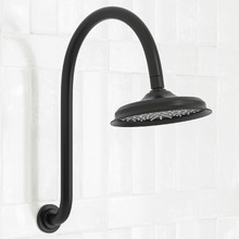 Augustine 220mm Gooseneck Shower Arm & Head