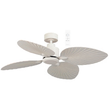 Kingston 127cm DC Ceiling Fan