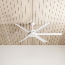 Albatross DC Ceiling Fan