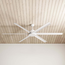 Albatross DC Ceiling Fan
