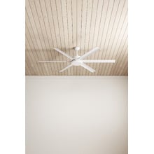 Albatross DC Ceiling Fan with LED