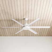 Albatross DC Ceiling Fan with LED