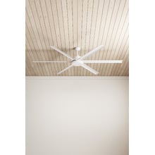 Albatross DC Ceiling Fan with LED