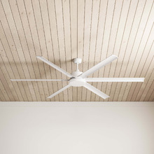 Albatross DC Ceiling Fan with LED