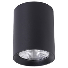 Paco LED Tri-Colour Surface Mount Downlight