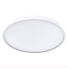Spectra White Round Acrylic LED Oyster Light