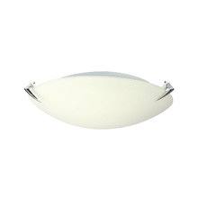 Cone Frosted Glass Oyster Light