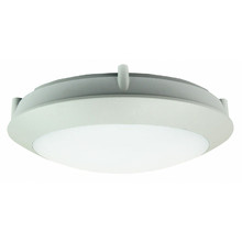 Desio LED Outdoor Oyster Light