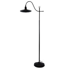 Rubbed Bronze Giulia Floor Lamp