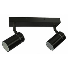Caltaniss 2 Light Stainless Steel Outdoor Spotlight