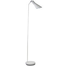 Molfetta Metal Floor Lamp