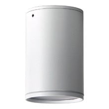Buxton Aluminium Flush Mount Ceiling Light