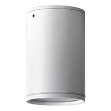 Buxton Surface Mounted Ceiling Light