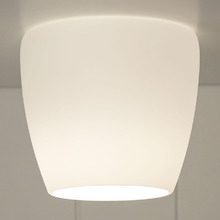 Cosima Matte Opal Glass DIY Batten Fix Light