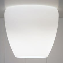 Cosima Matte Opal Glass DIY Batten Fix Light