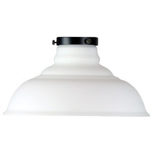 Miyun Clear Glass & Steel Ceiling Light Shade