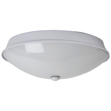 Ronge 24cm Glass Oyster Light