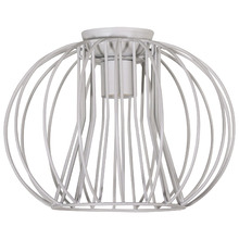 Shire Steel Batten Fix Light
