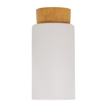 Bardeen Frosted Glass DIY Batten Fix Light