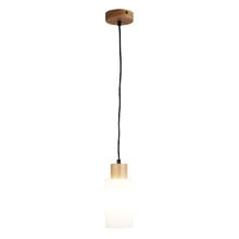 Bardeen Frosted Glass Pendant Light