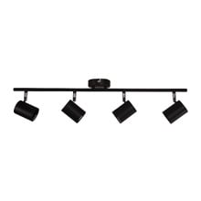 Naples Metal Adjustable 4-Light Spotlight