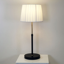 Poppy Steel Adjustable Table Lamp