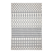 Black & White Ivory Sunrise Ampelios Power-Loomed Rug