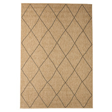 Elspeth Indoor/Outdoor Rug