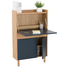 Blue & Natural Barry Wall-Mounted Study Desk