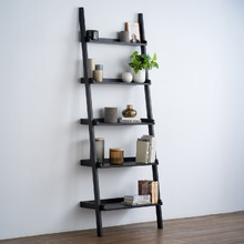 Maverik Ladder Shelf