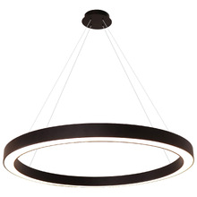 Curvor Black Stainless Steel LED Pendant Light