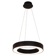Curvor Black Stainless Steel LED Pendant Light