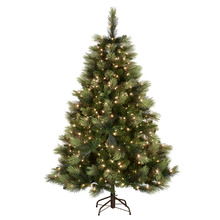 229cm Nevin Carolina Pine LED Christmas Tree