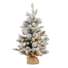 61cm Bonitus LED Christmas Tree
