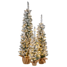 3 Piece Yulienne Snowy LED Christmas Tree Set