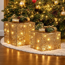 2 Piece Rich LED Gift Box Christmas Ornament