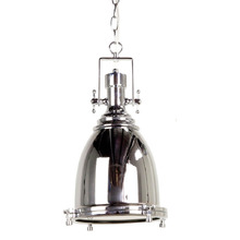 Snapper Metal & Glass Pendant Light