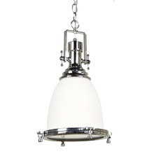 Snapper Metal & Glass Pendant Light