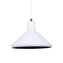 Elouera Aluminum Pendant Light