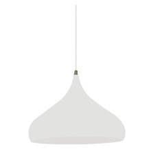 Zooi Iron Pendant Light