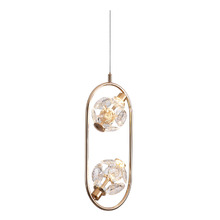 Ashlea Iron & Crystal LED 2 Light Pendant