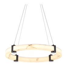 Iker Iron & Resin LED Pendant Light