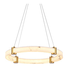 Iker Iron & Resin LED Pendant Light